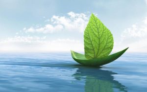 Transformación sostenible